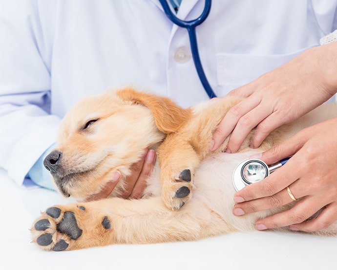 循環器科/呼吸器科