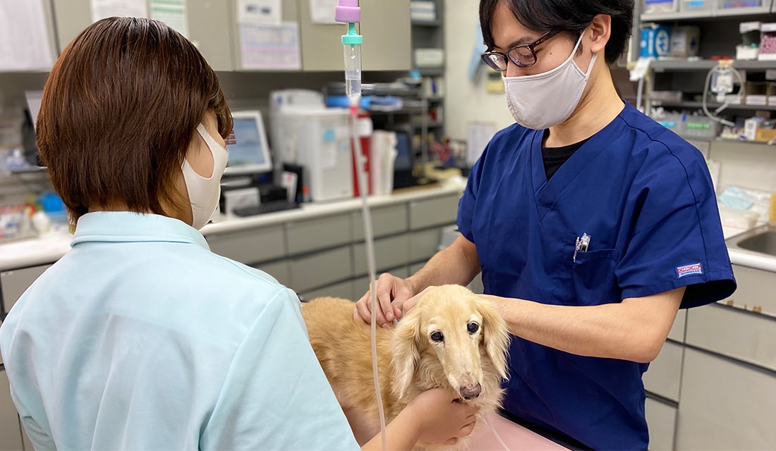 当院の診療方針